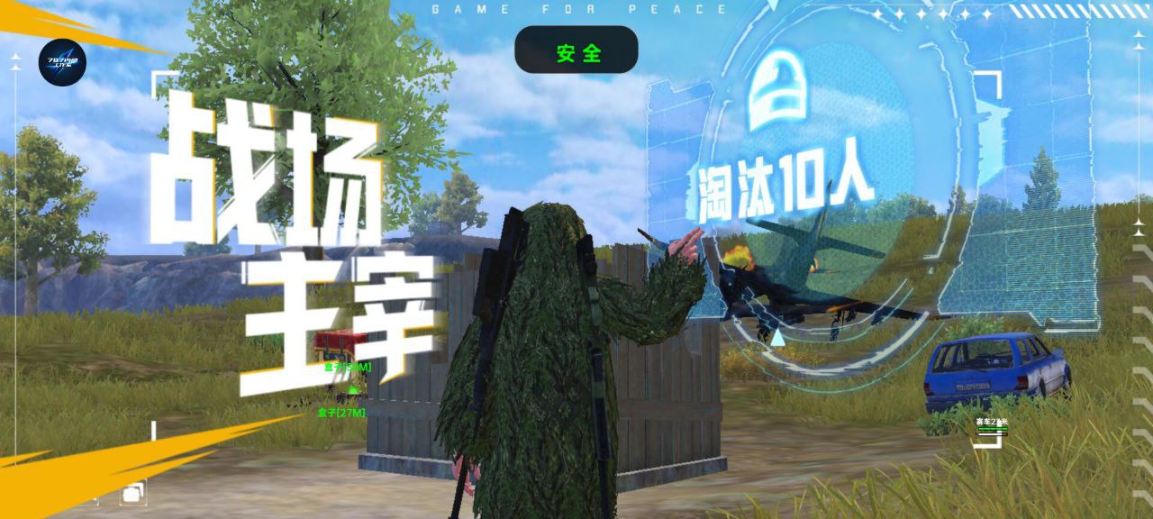 和平精英辅助得类型分为那些